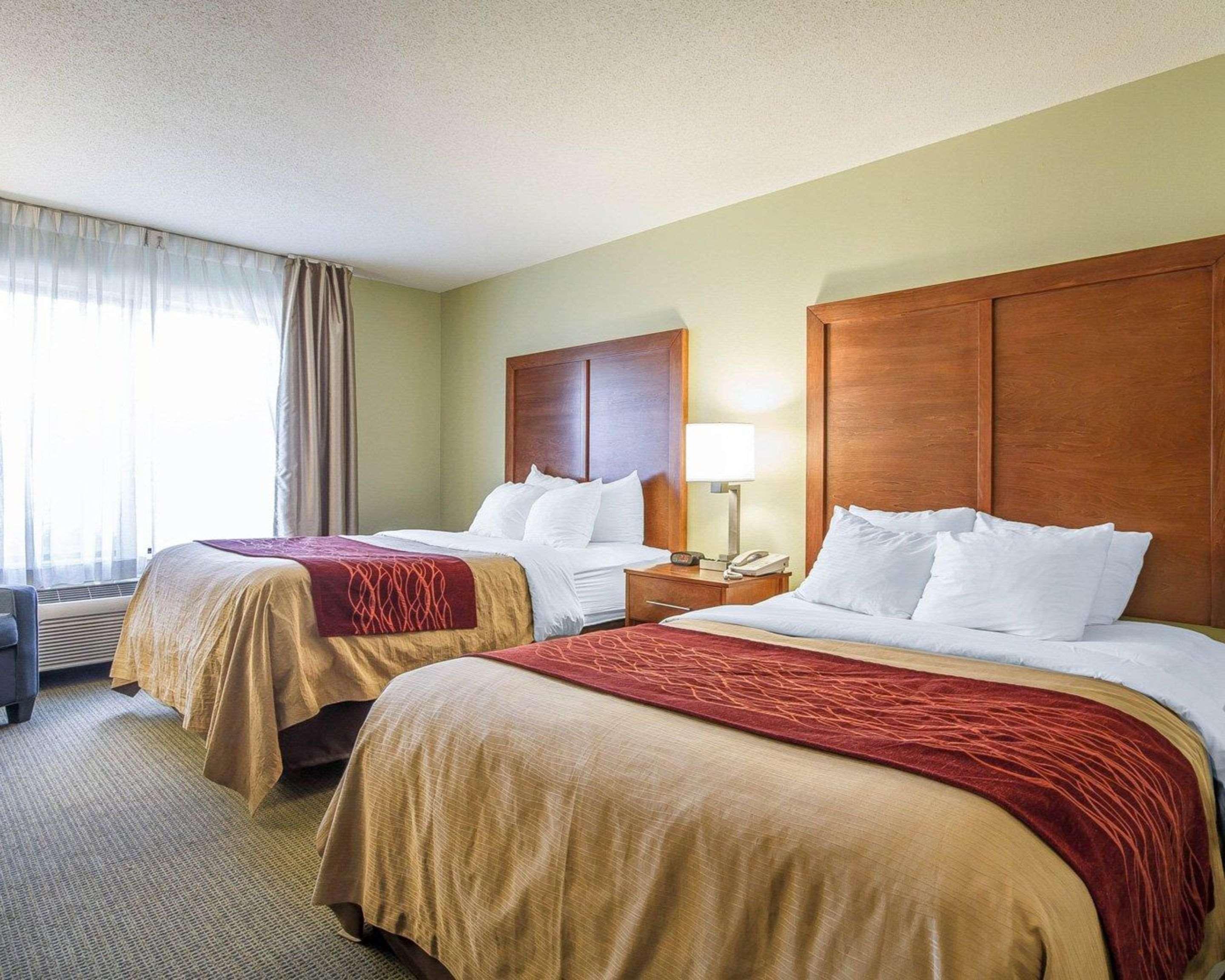 Comfort Inn & Suites Black River Falls I-94 Buitenkant foto